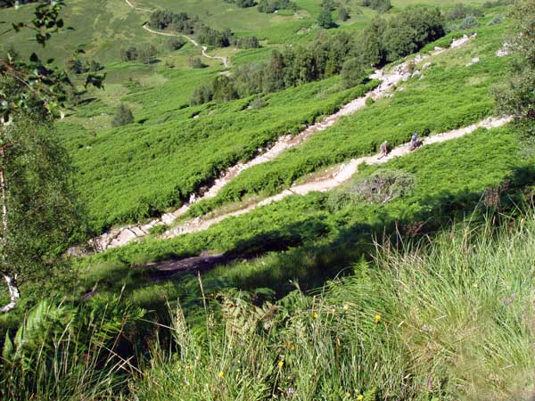 Mountain Track Zigzags