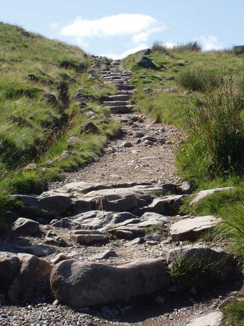 Mountain Track